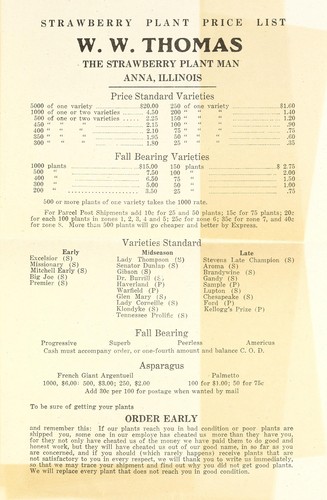 Strawberry plant price list