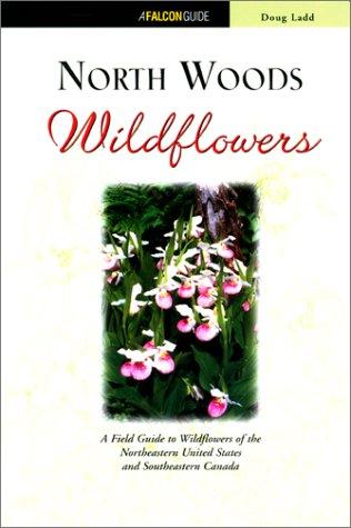North Woods Wildflowers