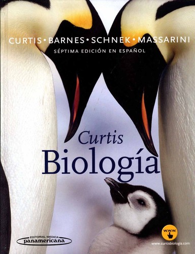 Curtis