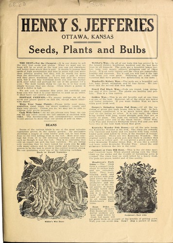 Seeds, plants and bulbs