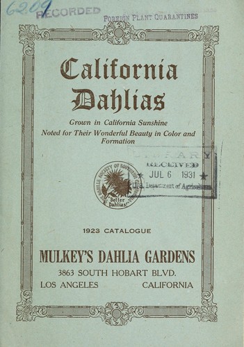 California dahlias
