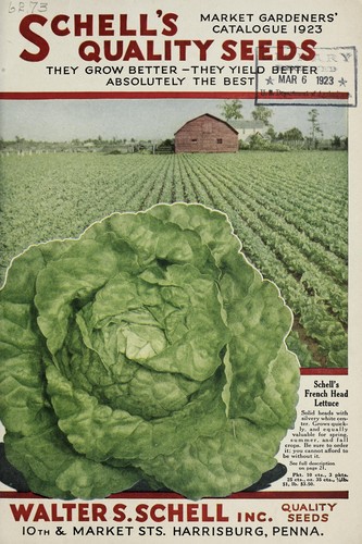 Schell's quality seeds
