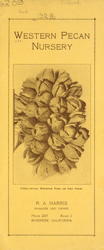 Western Pecan Nursery [catalog]
