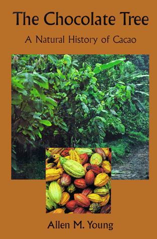 The chocolate tree