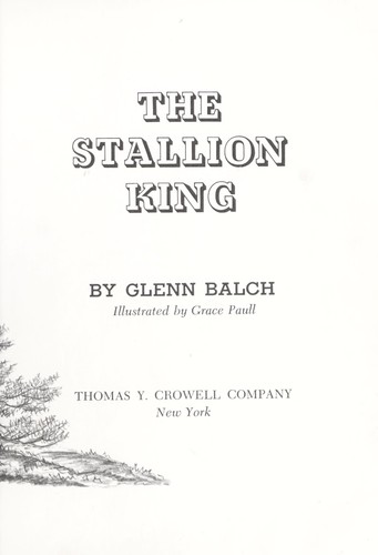 The Stallion King