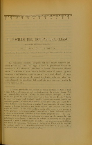 Il bacillo del Boubas brasiliano