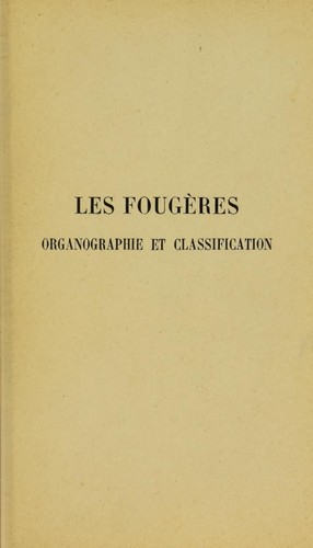 Les fougères