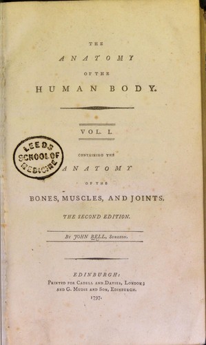 The anatomy of the human body