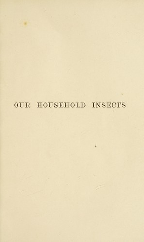 Our household insects
