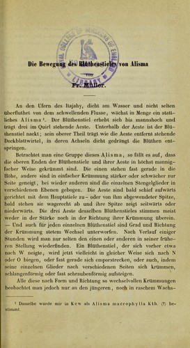 Die Bewegung des Bl©ơthenstieles von Alisma