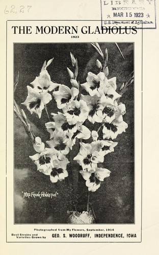 The modern gladiolus