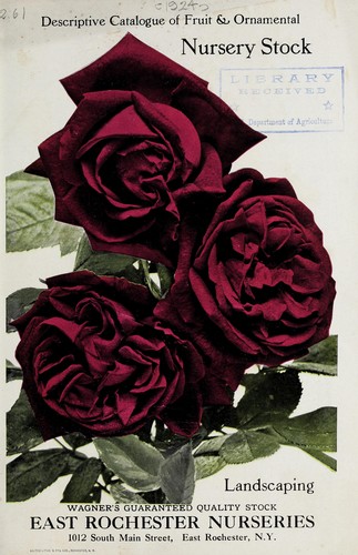 Descriptive catalogue of fruit & ornamental nursery stock