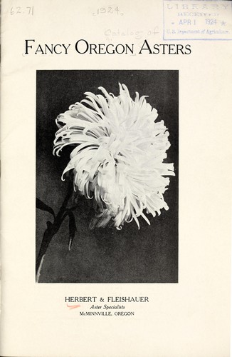 Fancy Oregon asters