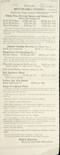 White pine, Norway spruce, and balsam fir, [etc.]