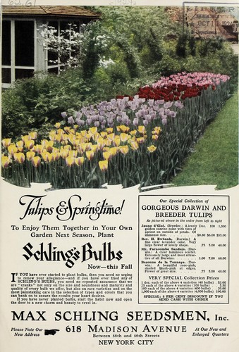 Tulips & springtime!