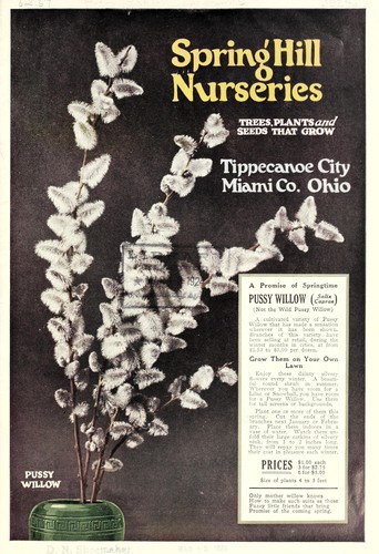 Trees, plants and seeds that grow