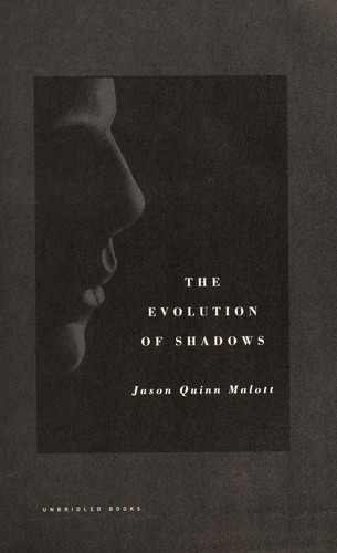 The evolution of shadows