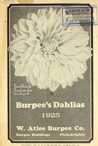 Burpee's dahlias