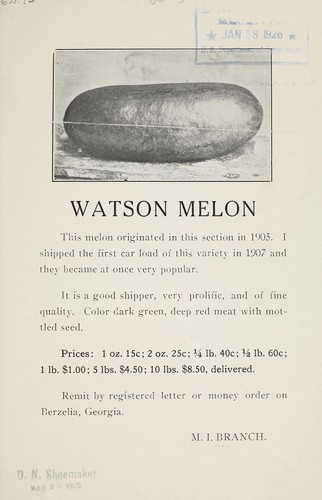 Watson melon