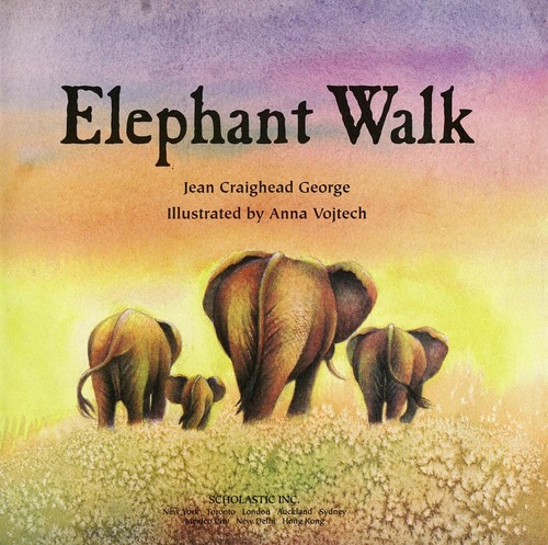 Elephant walk