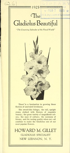 The gladiolus beautiful