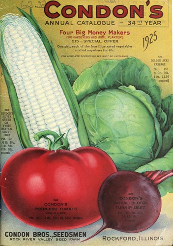 Condon's annual catalogue, 34th year, 1925