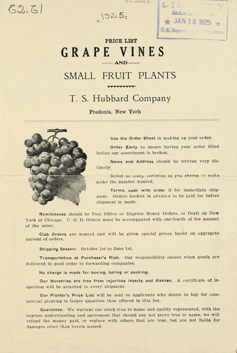 Price list of grape vines and small fruit plants