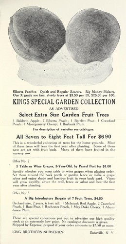 Kings special garden collection, as advertised