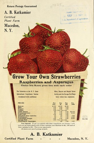 Grow your own strawberries, raspberries and asparagus
