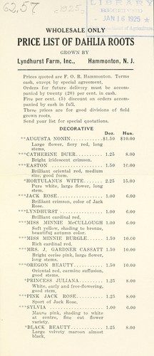 Price list of dahlia roots