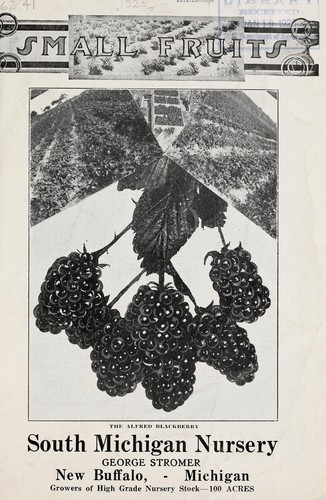 Small fruits [catalog]