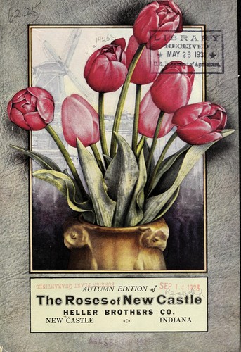 Autumn edition of The roses of New Castle