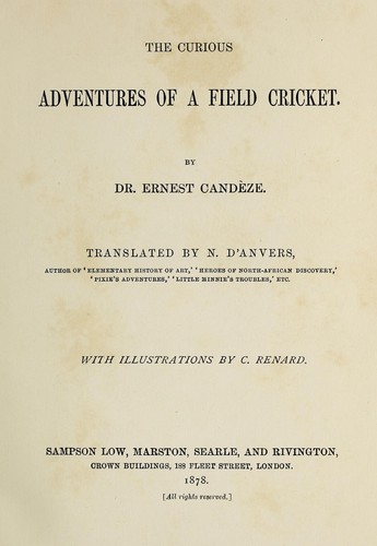 The curious adventures of a field cricket