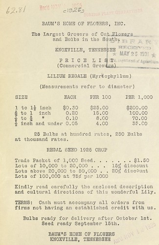 Lilium regale (Myriophyllum) price list (commercial growers)