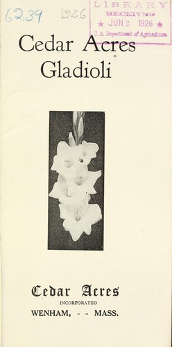 Cedar Acres gladioli
