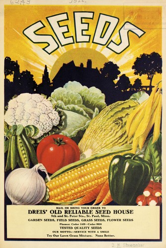 Seeds