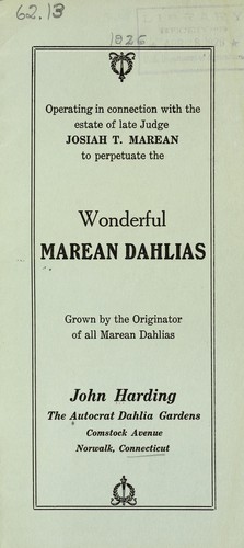 Marean dahlias