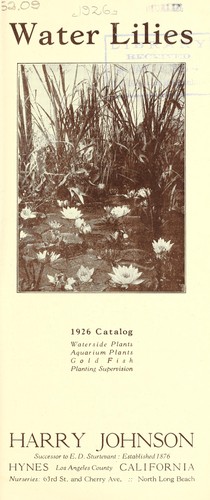 Water lilies