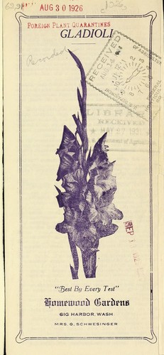 Gladioli [price list]
