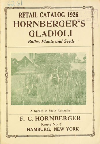 Hornberger's gladioli, bulbs, plants and seeds