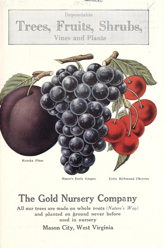 Dependable trees, fruits, shrubs, vines and plants