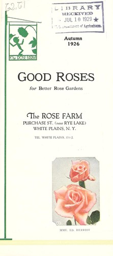 Good roses for better rose gardens