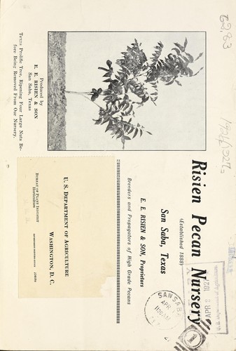 Risien Pecan Nursery 1926-27 prices