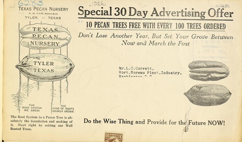 Special 30 day advertising offer