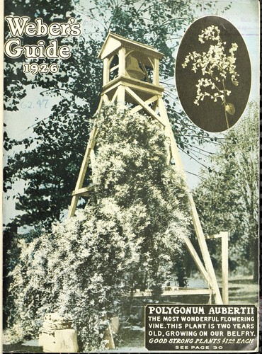 Weber's guide