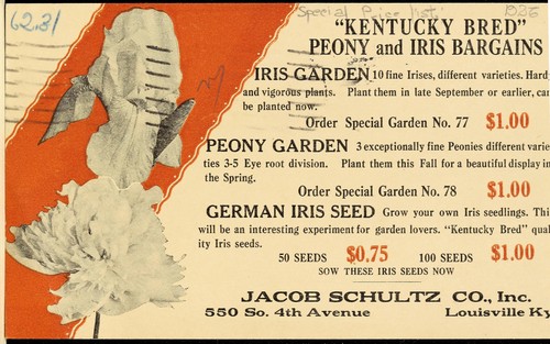 Kentucky bred peony and iris bargains