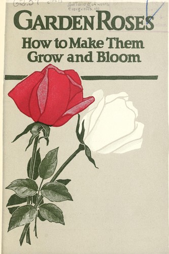 Garden roses
