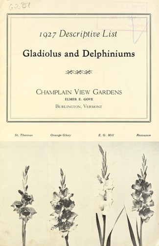 Gladiolus and delphiniums