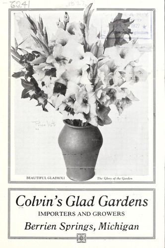 Gladioli, the glory of the garden price list