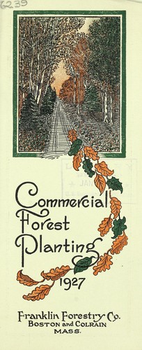 Commercial forest planting